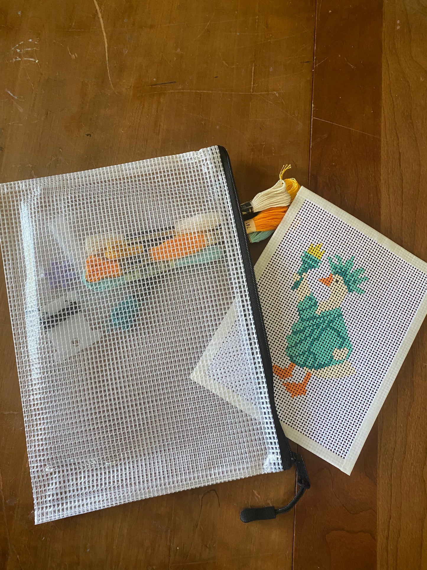 Silly Goose - Hand Painted Needlepoint Kit