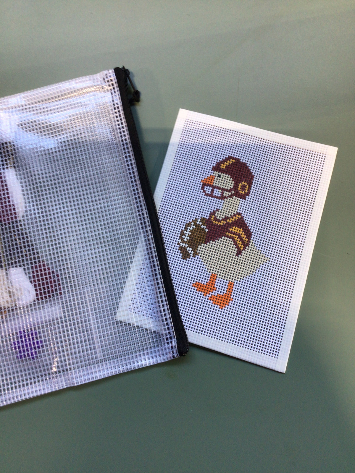 Silly Goose - Hand Painted Needlepoint Kit