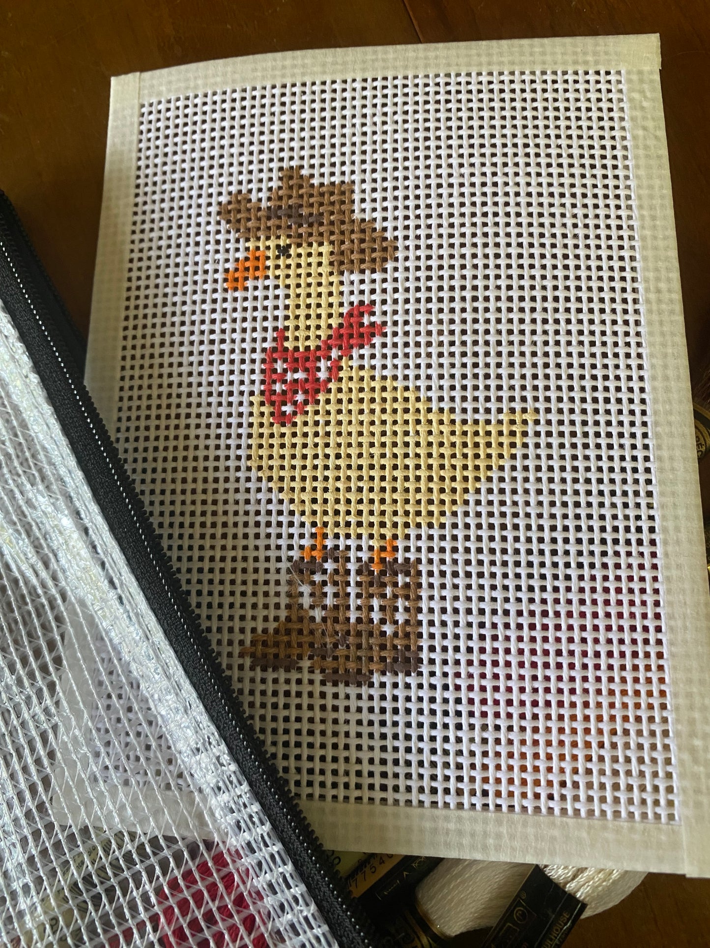 Silly Goose - Hand Painted Needlepoint Kit