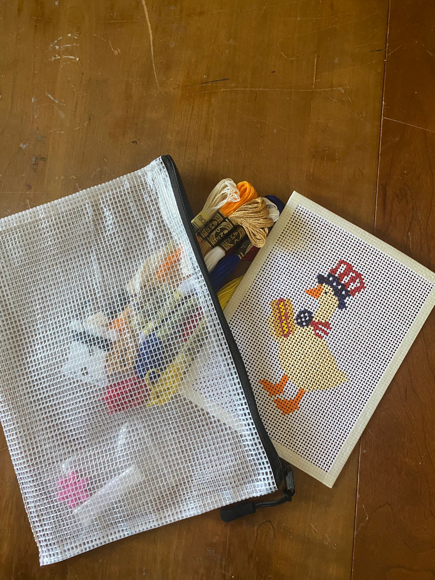 Silly Goose - Hand Painted Needlepoint Kit