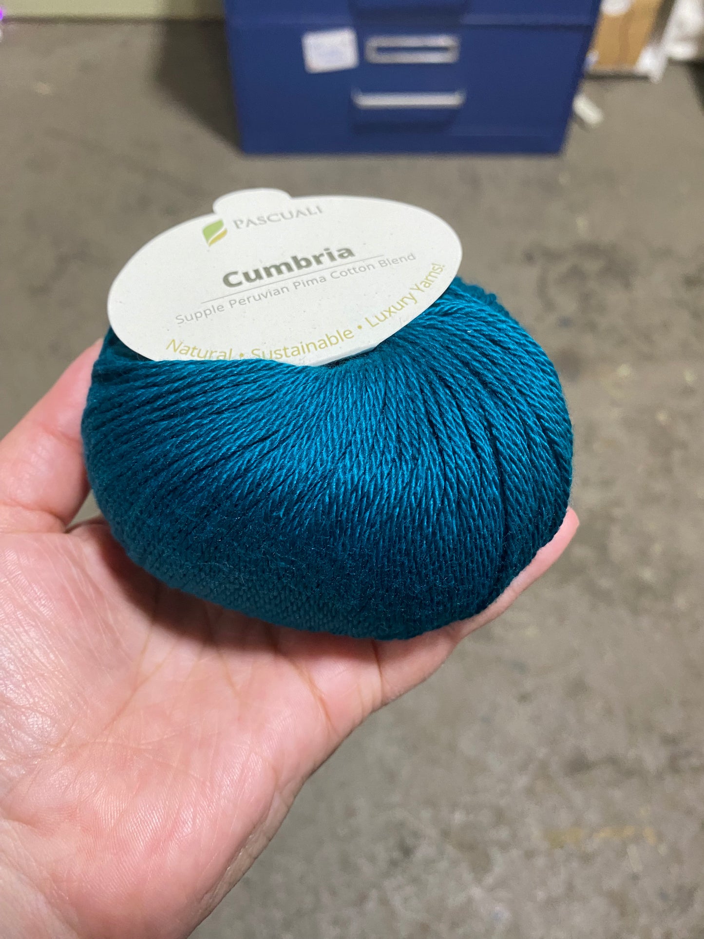 Pascuali Cumbria