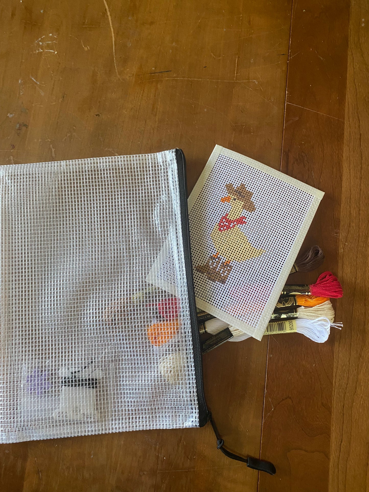 Silly Goose - Hand Painted Needlepoint Kit