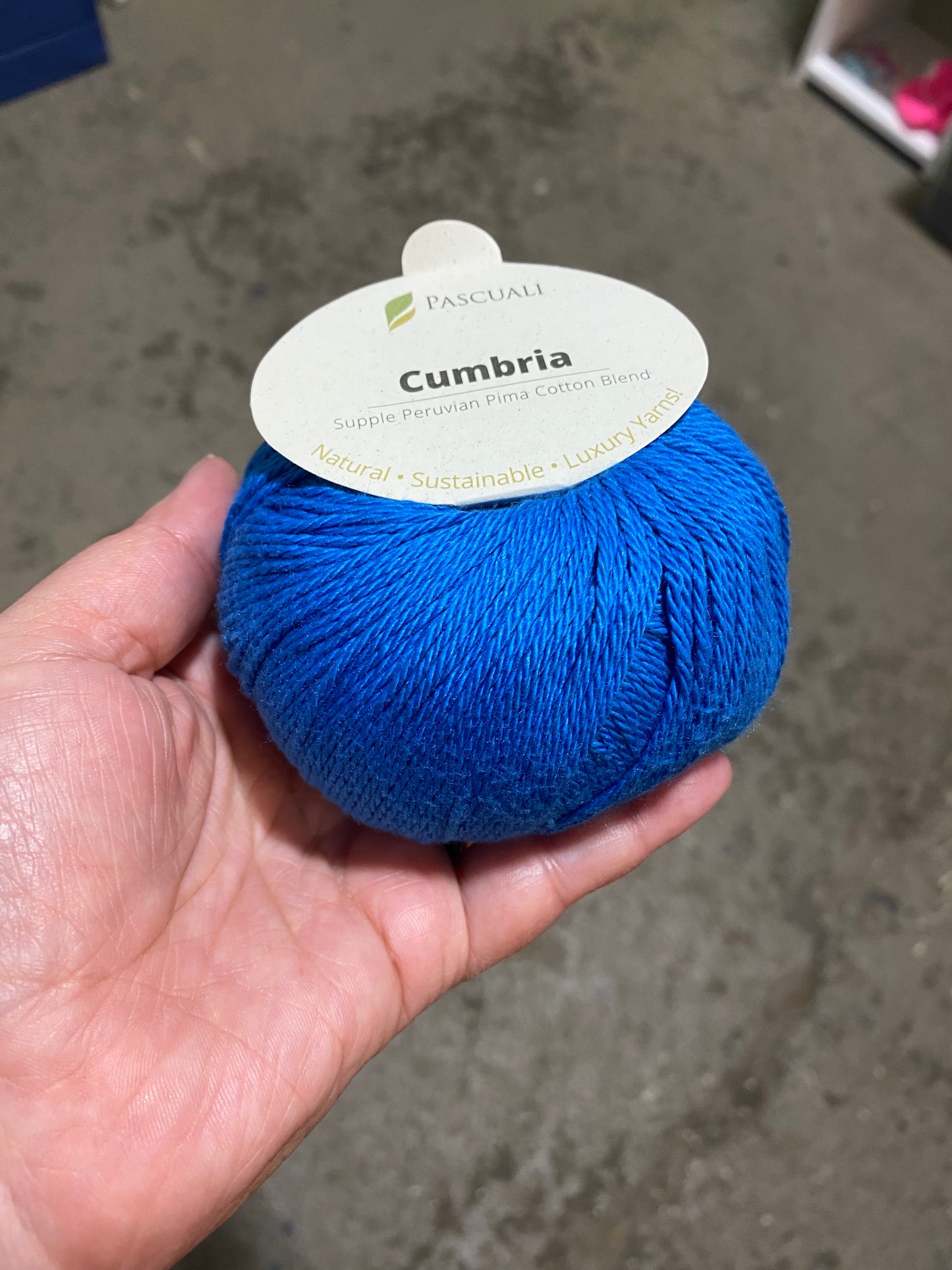 Pascuali Cumbria