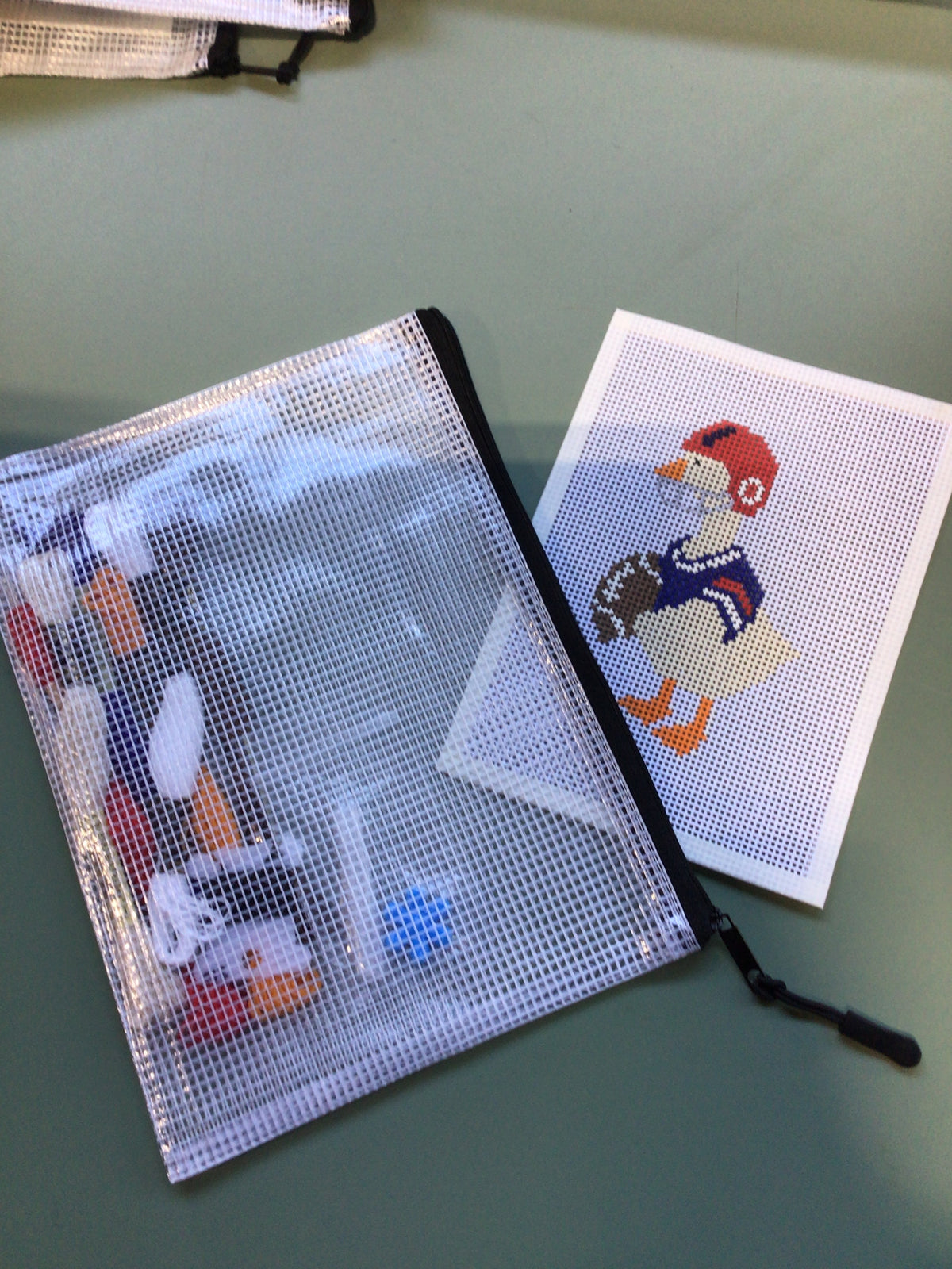 Silly Goose - Hand Painted Needlepoint Kit