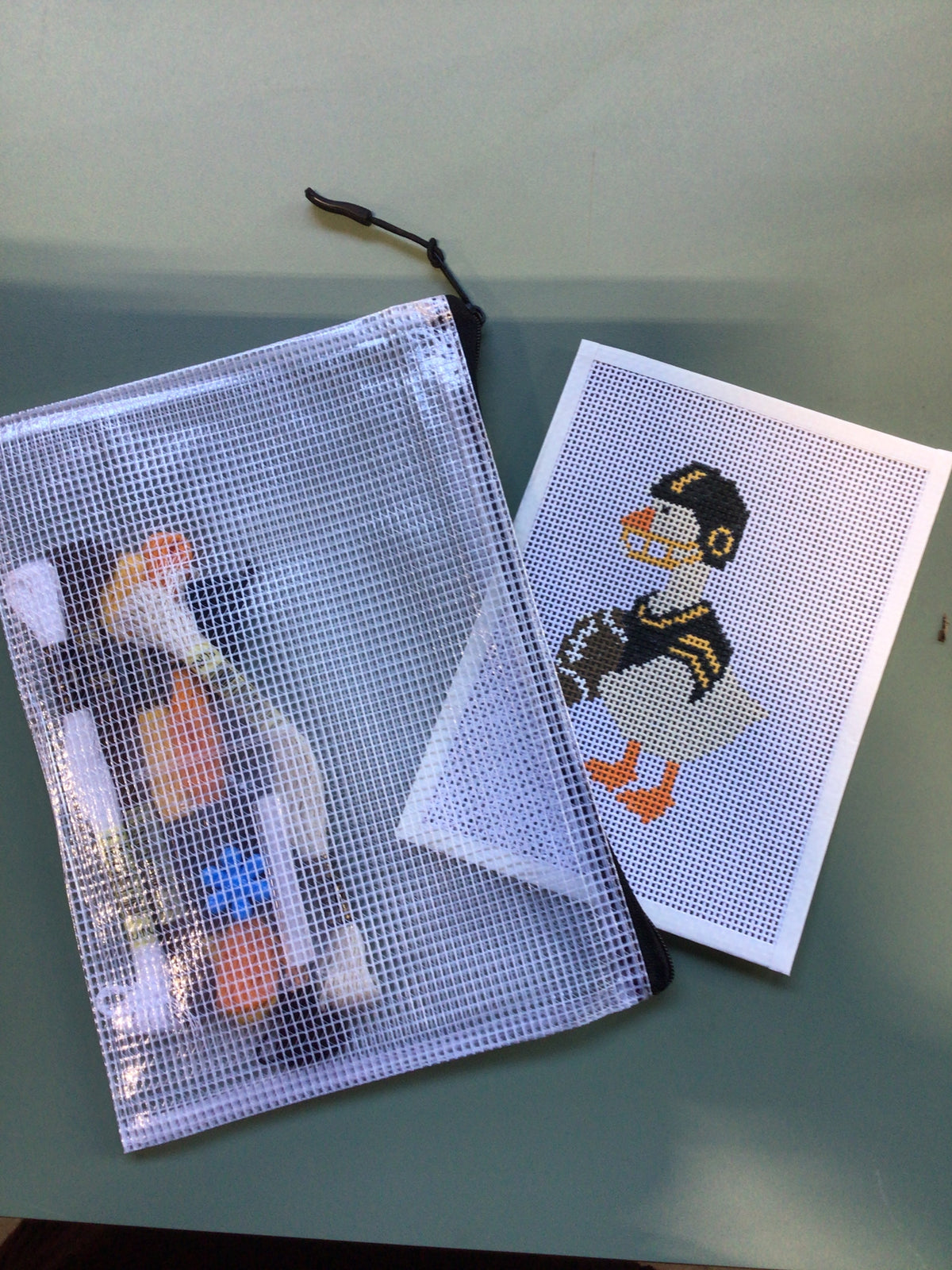 Silly Goose - Hand Painted Needlepoint Kit