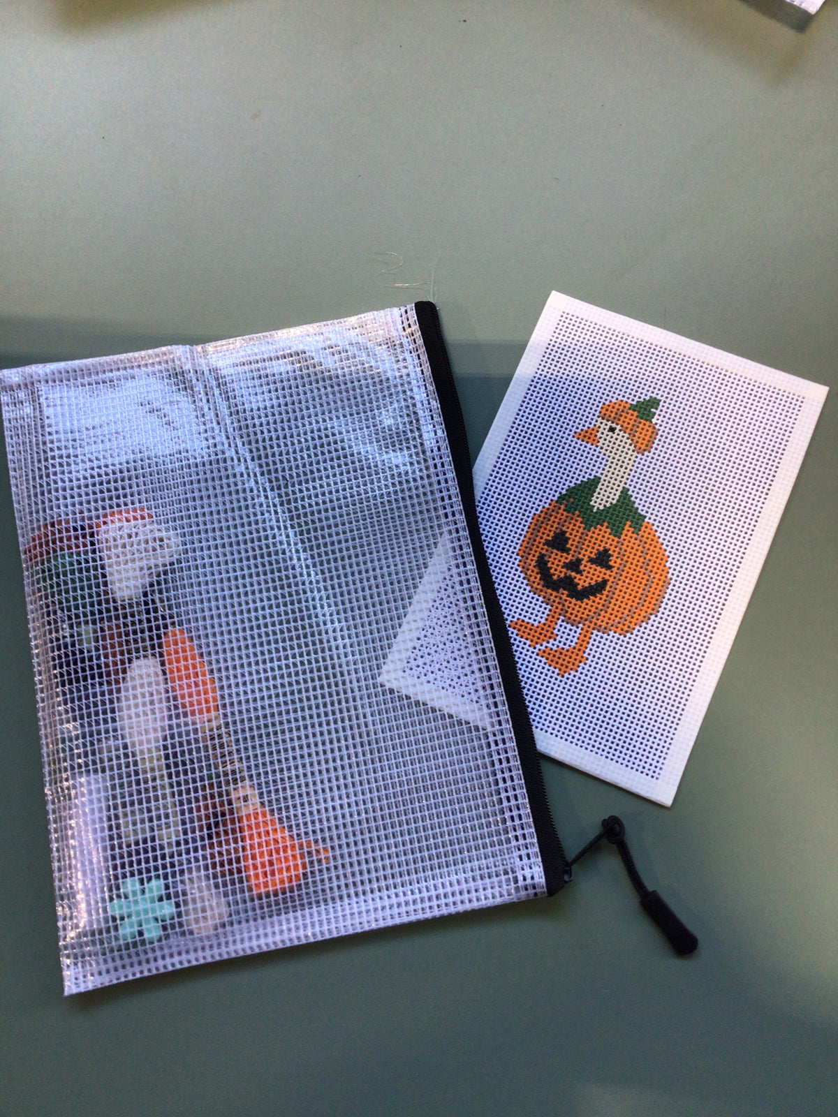 Silly Goose - Hand Painted Needlepoint Kit