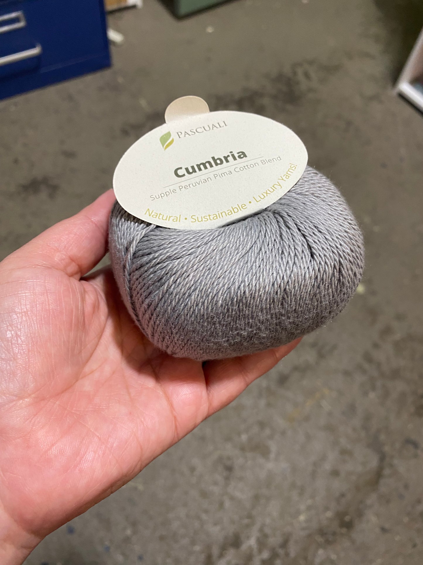 Pascuali Cumbria