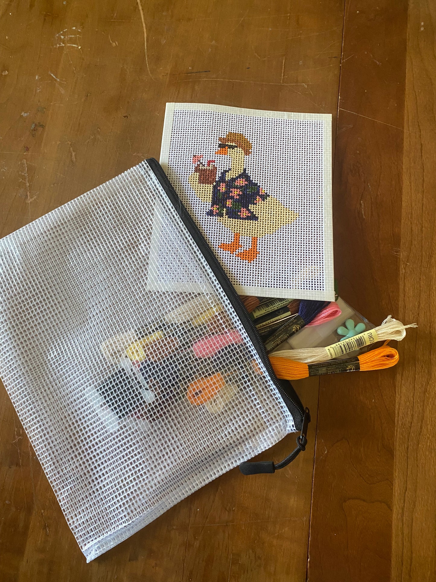 Silly Goose - Hand Painted Needlepoint Kit