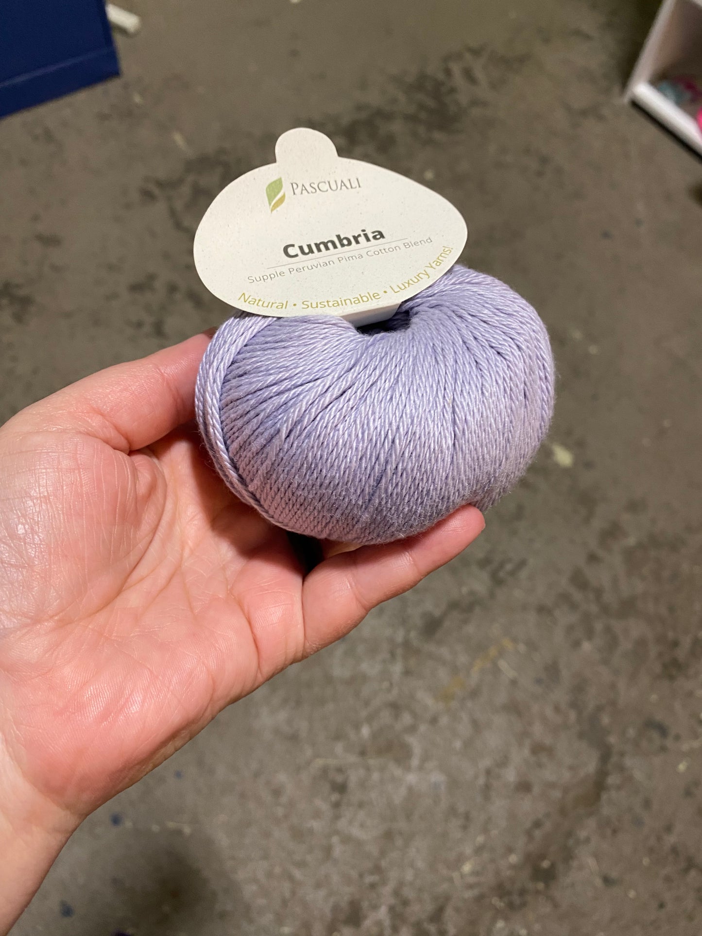 Pascuali Cumbria