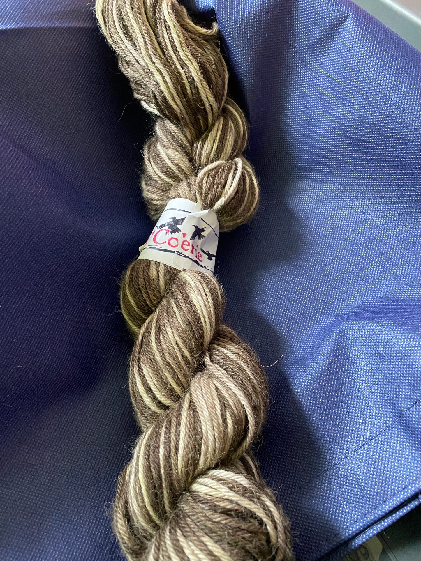 Tri'Coterie DK Cashsilk