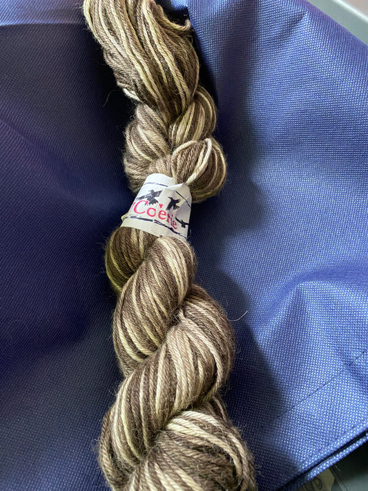 Tri'Coterie DK Cashsilk