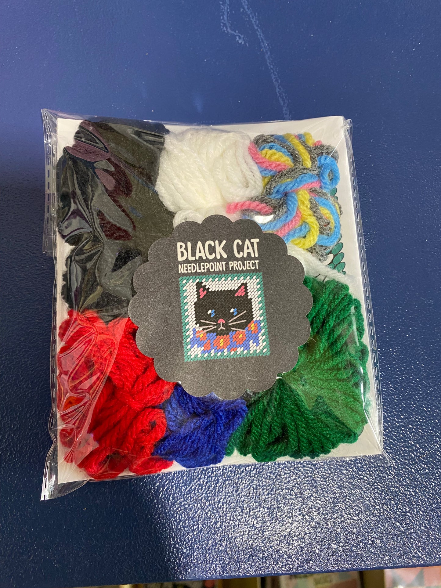 August 8, 2026 Beginner Needlepoint Workshop