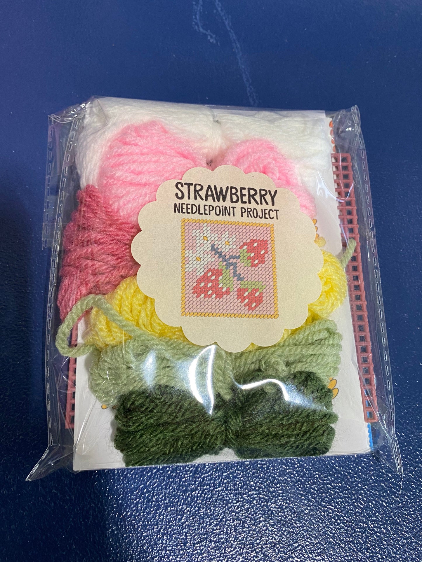 August 8, 2026 Beginner Needlepoint Workshop