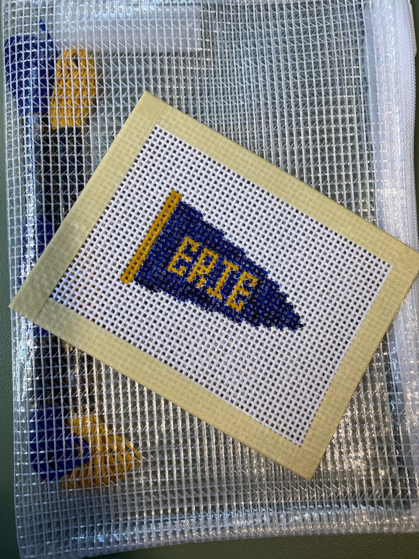 Erie Pennant - Hand Painted Needlepoint Kit