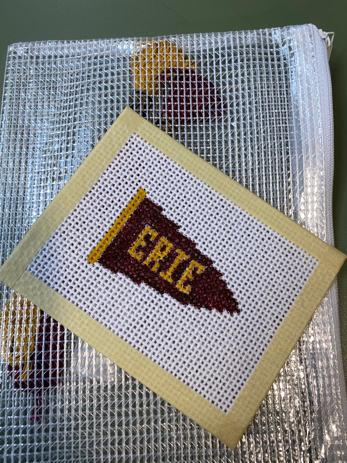 Erie Pennant - Hand Painted Needlepoint Kit